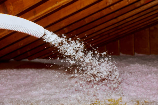 Best Insulation Installation Services in Ladue, MO