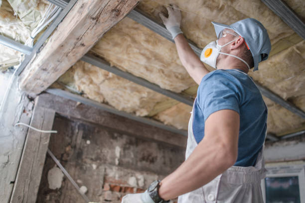 Best Types of Insulation in Ladue, MO