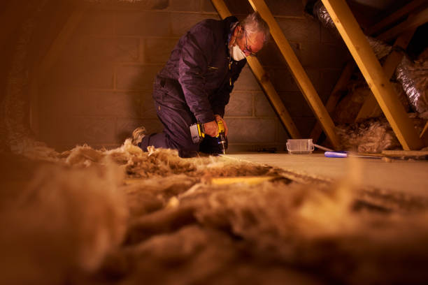Best Residential Insulation in Ladue, MO